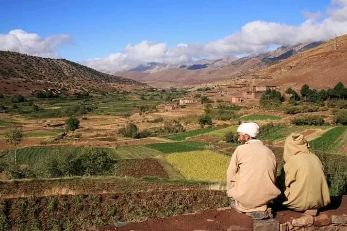 Culture Berbère
