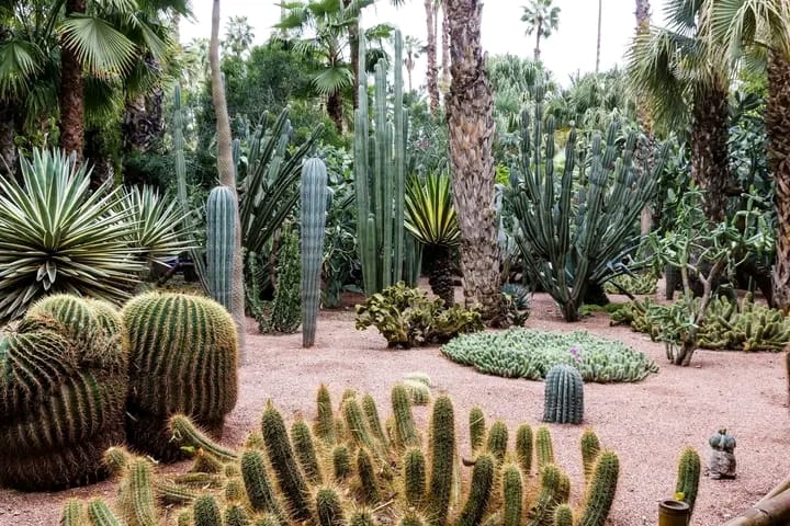 Jardins Marocains