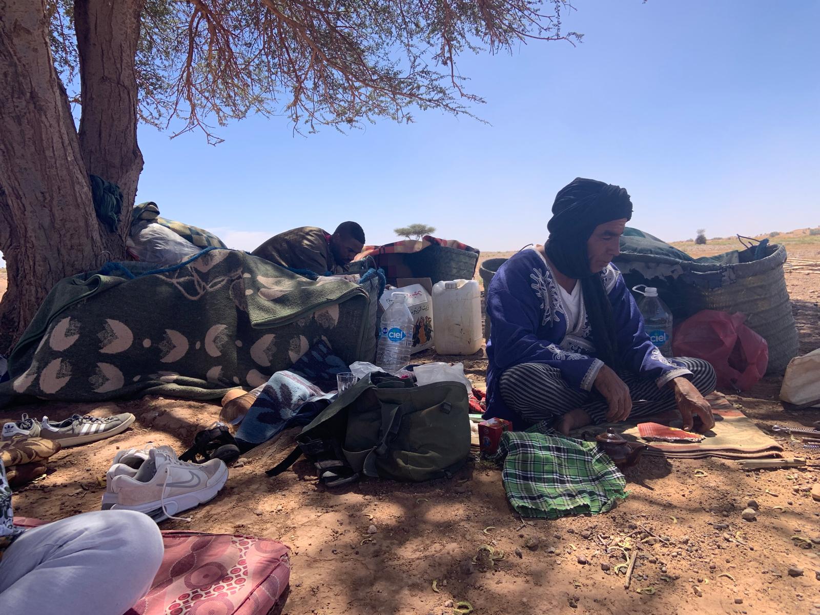 Randonnées à dos de chameau, circuits en 4x4 et expériences de camping authentiques dans le Sahara.
