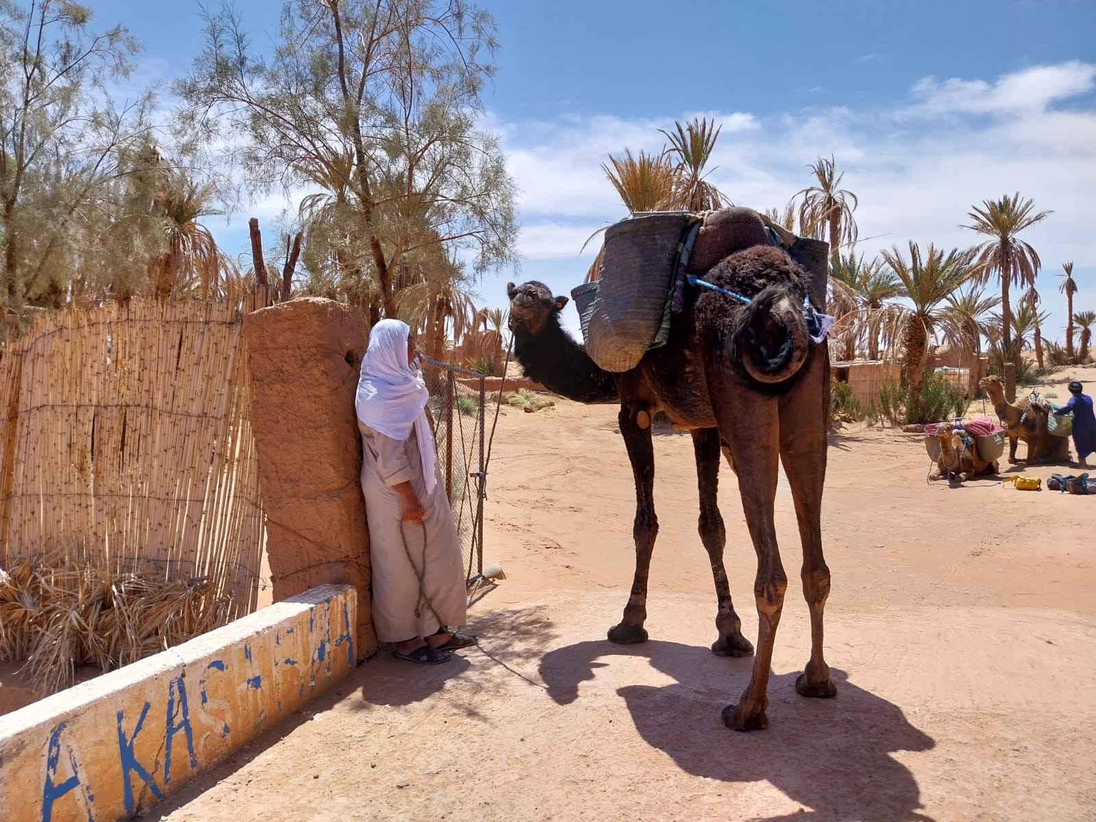 Vivez la magie des dunes dorées, des nuits étoilées et de la culture nomade authentique.