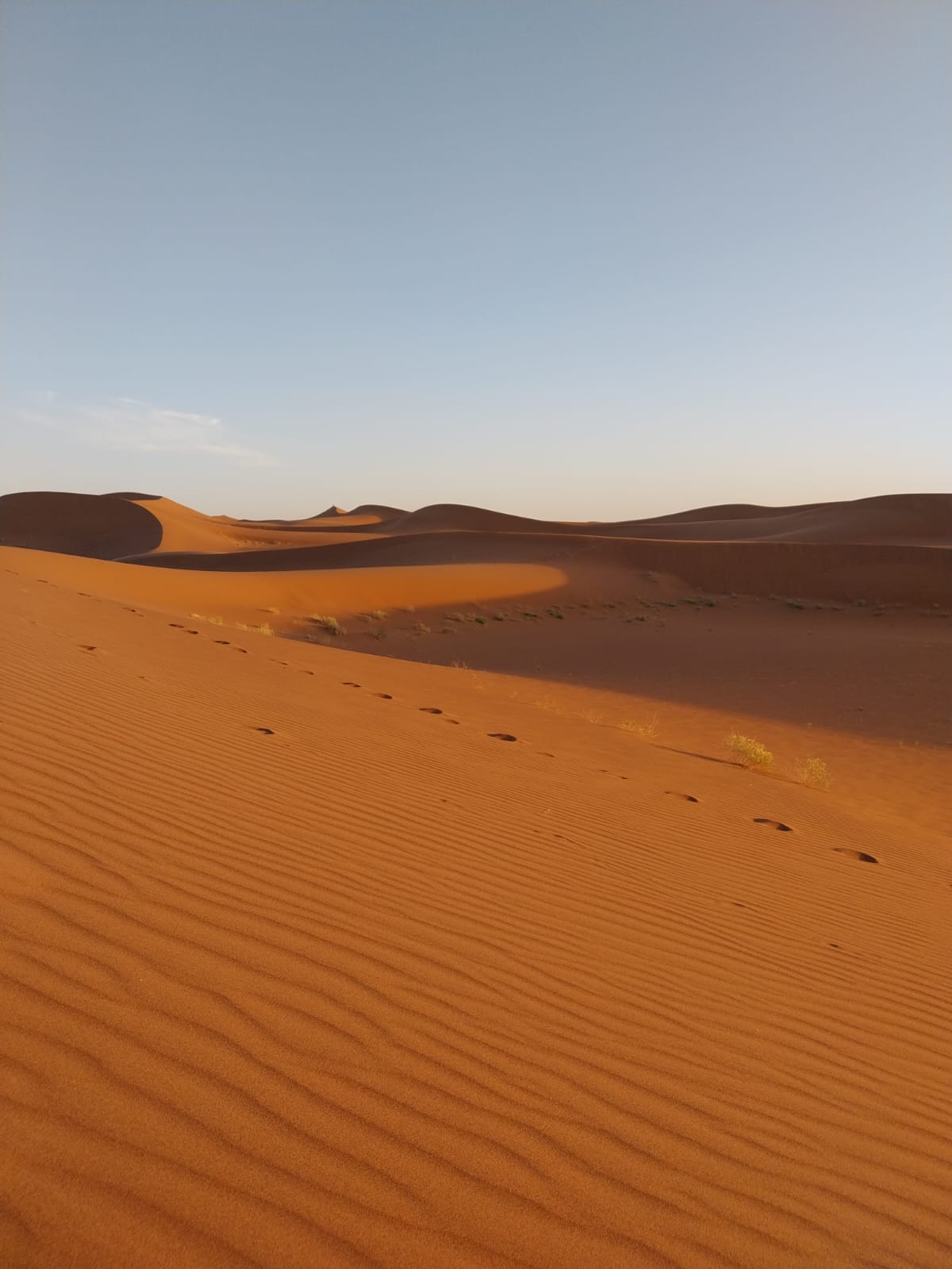 Le désert du Sahara est l'un des paysages les plus emblématiques du Maroc. Les vastes étendues de dunes dorées, les nuits étoilées et le silence absolu créent une expérience magique et inoubliable. Nos expéditions dans le désert vous permettent de découvrir la beauté sauvage du Sahara et de vivre comme les nomades.